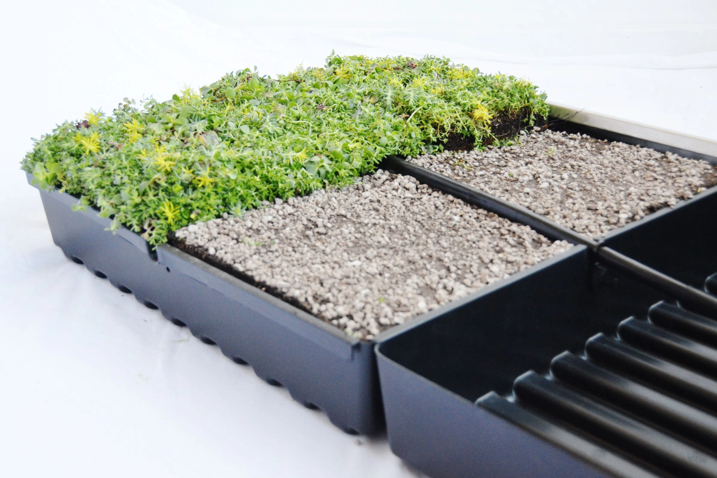 modular-green-roof-system-